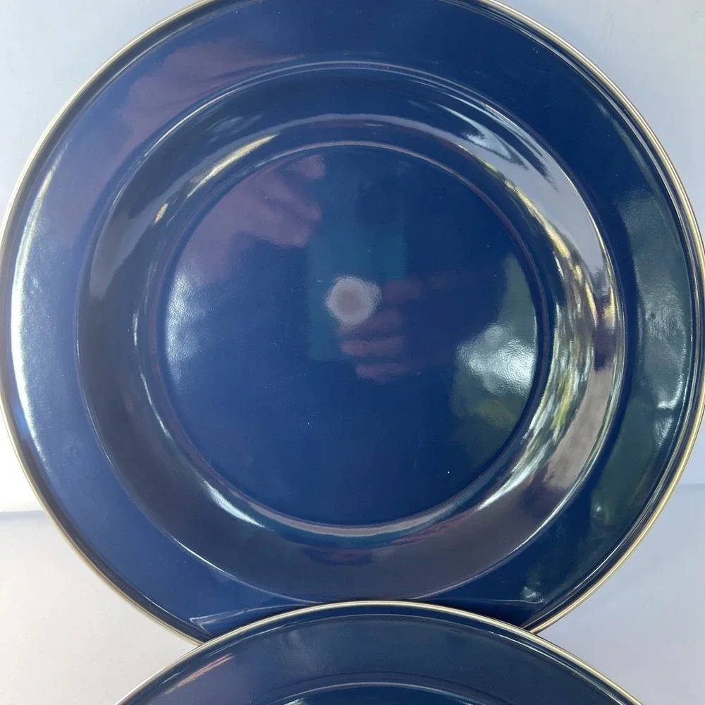 Discontinued Pottery Barn Enamelware Plate Blue 10